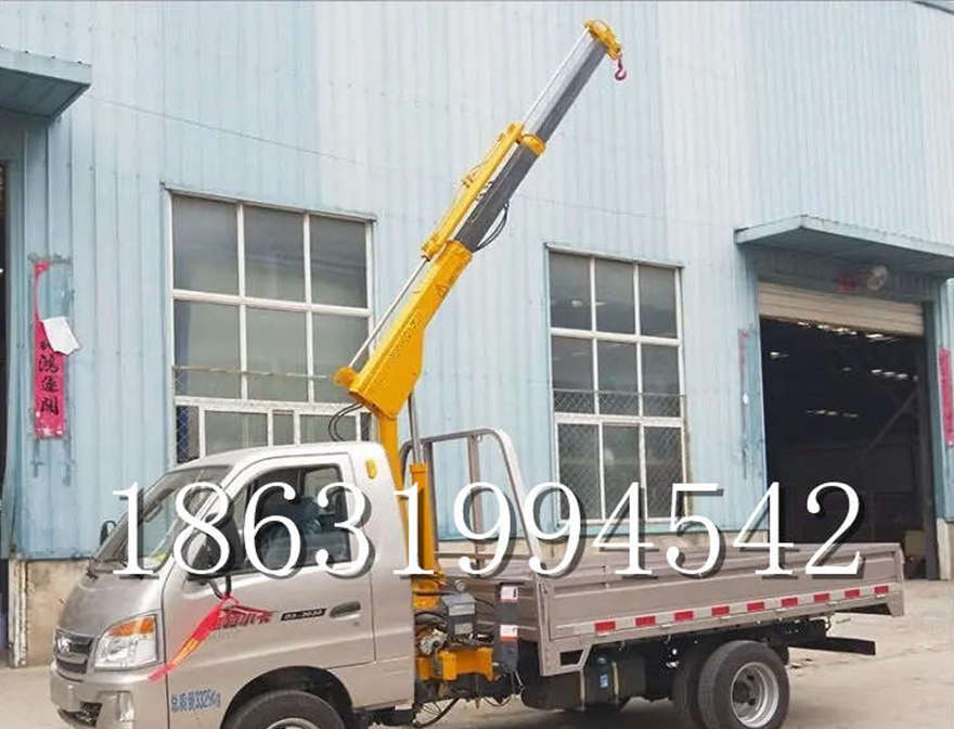衡阳县车载吊机小吊机220V改装1/2吨吊机220v移动吊机车载吊机小吊机220V衡阳县附近